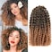 8 Inch Passion Twist Hair Short Marlybob Crochet Hair Marlybob Marlybob Crochet Braids Hair Crochet Hair For Black Women (8 Inch, 1B/27 9 Bundles Marlybob)