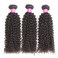 ISEE Hair Virgin Malaysian Deep Curly Jerry Curly Human Hair 3 Bundles,100% Unprocessed Human Curly Hair Extensions Natural Black Can Be Dyed 16inches