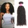 ISEE Hair Virgin Malaysian Deep Curly Jerry Curly Human Hair 3 Bundles,100% Unprocessed Human Curly Hair Extensions Natural Black Can Be Dyed 16inches