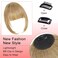 Bangs Hair Clip in Bangs 100% Real Human Hair Extensions Fake French Bangs Fringe with Temples Curtain Flat Neat Front Thick Hairpieces for Women Kids Daily Wear Ash Blonde
