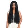 Passion Twist Hair 24 Inch 7 Packs Water Wave Crochet Hair Pre Looped Spring Bohemian Braids for Black Women