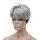 Lydell Women's Short Synthetic Hair Wigs Gray wigs