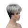 Lydell Women's Short Synthetic Hair Wigs Gray wigs