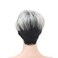 Lydell Women's Short Synthetic Hair Wigs Gray wigs