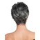 Gray Wigs for Women, Undeformed Black and white Gradient Short Wig Natural Appearance Gray Pixie Cut Wigs Suitable for Middle-aged and Older Women's Daily Use Wigs Costume Cosplay Wigs