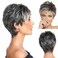 Gray Wigs for Women, Undeformed Black and white Gradient Short Wig Natural Appearance Gray Pixie Cut Wigs Suitable for Middle-aged and Older Women's Daily Use Wigs Costume Cosplay Wigs