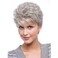 Umeet Short Fluffy Curly Wavy Hair Natural Grey Synthetic Wigs With Bangs for Women With Wig Cap