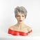 Umeet Short Fluffy Curly Wavy Hair Natural Grey Synthetic Wigs With Bangs for Women With Wig Cap