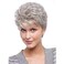 Umeet Short Fluffy Curly Wavy Hair Natural Grey Synthetic Wigs With Bangs for Women With Wig Cap