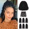 10 Inches 7 Packs Pre Looped Pretwisted Passion Twist Crochet Hair for Black Women and Kids-Natural Black,Soft Hair Extensions Braided by Synthetic Spring Kinky Twist Bohemian Curl(10"-7 Packs,1B)