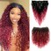 Curly Clip in Hair Extensions Brazilian Virgin Remy Hair Curly Clip (20", 99j curly)