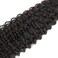 Brazilian 8A Kinky Curly Hair 1 Bundles,100% Unprocessed Natural Black Can Be Dyed and Bleached (20 Natural Black)
