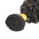 Brazilian 8A Kinky Curly Human Hair 1 Bundles,100% Unprocessed Natural Black Can Be Dyed and Bleached (14 Natural Black)