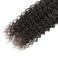 Brazilian 8A Kinky Curly Human Hair 1 Bundles,100% Unprocessed Natural Black Can Be Dyed and Bleached (14 Natural Black)