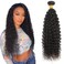 Brazilian 8A Kinky Curly Human Hair 1 Bundles,100% Unprocessed Natural Black Can Be Dyed and Bleached (14 Natural Black)