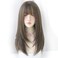 Long Cold Brown Hair Wig for Women Natural Synthetic High Density Wigs With Air Bangs Party Cosplay Use Hair Wig (22inch Cold brown)