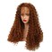 Wiginway Synthetic Lace Front Long Afro Kinky Curly Wigs For Women Light Auburn With Babyhair Lace Front Wigs