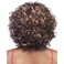CHILLI-V (Vivica A. Fox) - Synthetic Lace Front Wig in DARKEST BROWN (Color 2)