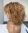 Annivia Ombre Blonde Afro Short Kinky Curly Wig with Bangs for Black Women Curly Wig