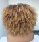 Annivia Ombre Blonde Afro Short Kinky Curly Wig with Bangs for Black Women Curly Wig