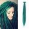 Thick Dreadlocks Extensions Crochet Dreads Braiding Hair 20inch 10 Strands/Pack Synthetic Handmade Dread Extensions Reggae Crochet Hair Hippie Locs Crochet Braids (10 Strands, #BD Green)