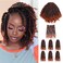 10 Inches 7 Packs Pre Looped Pretwisted Passion Twist Crochet Hair for Black Women and Kids-Ombre Ginger Soft Hair Extensions Braided by Synthetic Spring Kinky Twist Bohemian Curl(10"-7 Packs,T1B/350)