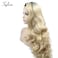 Sylvia Highlighted Blonde Ombre Dark Roots Lace Front Wig Natural Wave Side Parting Synthetic Wig Heat Resistant Hair Replacement Wigs for Woman (24inch) (2T S)