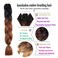 Xiaofeng Braiding Hair Extensions for Women 6 Packs 100g/Pack 24Inch High Temperature Ombre Jumbo Synthetic Braiding Hair for Twist Crochet Braids (24 Inch, black-deep brown)