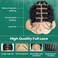 PIB 24" Single Full Lace Knotless Box Braid Wig Square Parted Braided Wigs for Black Women with Natural Baby Hair (1, Jet Black)
