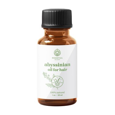 Abyssinian Oil for Hair by Essential Delights   Topical Treatment for Hair Loss Prevention and Hair Thickness   (1 Fl Oz)