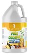 Bastion Antibacterial Hand Soap - Pina Colada - Moisturizing Pearlized Liquid Hand Wash - 1 Gallon (128 oz.) Bulk Refill Jug. Pina Colada Scented. Non-toxic. Made in the USA.