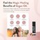 Moroccan Magic Organic Lavender Vanilla Lip Balm 3 Pack   Chapsticks for Dry Lips   Natural Argan &amp; Essential Oils Lip Moisturizer + Vitamin E   Smooth, Hydrating, Non-Toxic   Organic Lip Balm Set