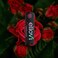 Natural Lip Butter Lip Balm - Wild Rose Tinted - Pure Enough to Eat - Made With Just 6 Vegan Ingredients - Tinted Moisturizing Lip Care for All Day Hydration (Single)