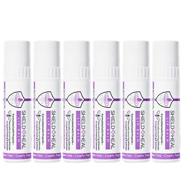 6 Pack - Botanical Lip Balm with Aromachology, Mood-Boosting Fragrance Technology, Soothes Chapped Lips &amp; Relieves Dryness, Silky Smooth Texture Warms on Contact (6 Pack)