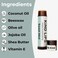 Organic Lip Balm Variety 3 Pack - Moisturizing, Natural, Cruelty-Free for Dry Lips