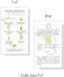 Spanish Lash Aftercare Instructions   50pk   Cuidado Posterior de la Extensi&oacute;n de Pesta&ntilde;as   2 x 3.5&rdquo; inch Card for clients   Eyelash Extension Supplies marble gold beautiful, 2-3 week refills fillers