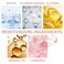2PCS Color Changing Foundation Makeup Set, Full Coverage Liquid Makeup Foundation with Brush, Moisturizing Oil Control Foundation Color Changing Makeup, Waterproof Matte Concealer with Makeup Sponge