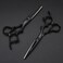 Black Dragon 6.0 inch Professional Dragon Handle 440C Salon Hair Cutting Scissor - Hairdressing Thinning Shears- Perfect for Barber and Home Use (Scissors set)