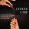 Tammy Taylor Hydrating Nail Cuticle Oil with Cuticle Cream   Peach Cuticle Softener w/Vitamin E, Jojoba Oil, Natural Ingredients &amp; USA Made Professional Nail Growth Oil for Growth &amp; Strength 4 oz