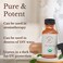 100% Pure Tea Tree Oil, USDA and QAI Certified Organic, Steam Distilled and Potent, Can Help Nails, Skin, Hair or Be Used As Diffuser Oil for Aromatherapy