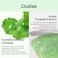 VT COSMETICS CICA Cream, CICALIO Facial Care Cream, Skin Relax, Redness Skin cream, Skin Calming Care, Centella Asiatica Extract, Hyaluronic Acids, Soothing Skin, Korean Skincare (1.69 oz / 50ml)