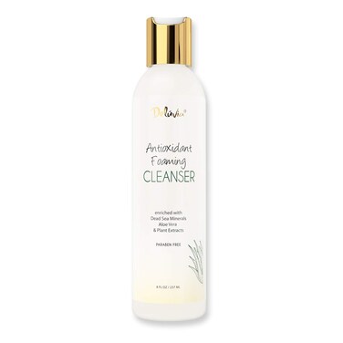 Deluvia Antioxidant Foaming Daily Facial Cleanser &amp; Face Wash, Hydrating Gentle Face Cleanser for Sensitive &amp; Dry Skin, Moisturizing Face Wash for Women &amp; Men, Face Wash for Teens &amp; Kids. (8 fl oz)