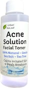 Urban ReLeaf Acne Solution Facial Toner! Sea Salt &amp; Tea Tree. Soothe Skin, Calm breakouts. 4 oz. Gentle Effective. 100% Natural &amp; Soothing. Reduce The Appearance of pores.