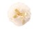 Talc Free Shelley Kyle De Ma Mere Shimmer Powder Gift Box Set, 48Grams