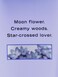 Victoria's Secret Midnight Bloom Fragrance Body Lotion (8 oz)