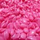 Waxness Pink Glow Face and Eyebrows Hard Wax 0.88 lb / 400 g