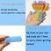 ZMD 36PCS Self Grip Small Hair Curlers, Heatless Roller with Comb Hair Roller for Blowout Salon Hairdressing Home Curlers DIY Hair Styles for Women Medium Short Thin Hair (0.8Inch)