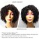 Short Curly Wigs for Black Women Machine Made Glueless Wig 100% Brazilian Human Hair Wigs for Older Women Natural Color Daily Wig