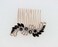 Faship Black Rhinestone Crystal Rose Gold Plated Floral Hair Comb