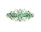 Faship Gorgeous Emerald Color Green Crystal Hair Barrette Clip